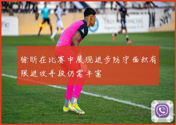 徐昕在比赛中展现进步防守面积有限进攻手段仍需丰富